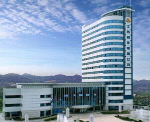 江西銅業鉛鋅金屬有限公司